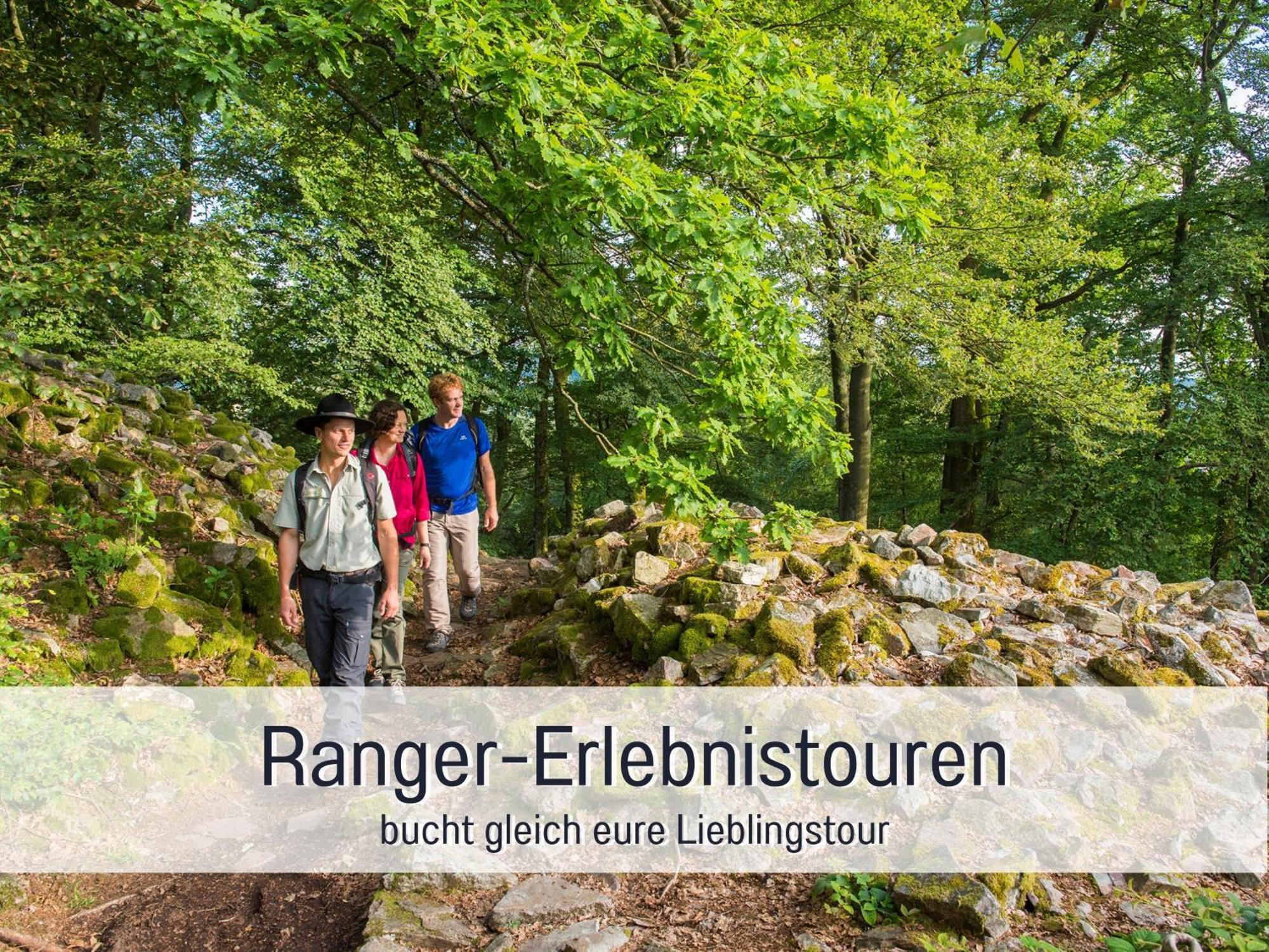 4 Sterne Ferienhaus "Zum Weiher" Allenbach Exteriér fotografie