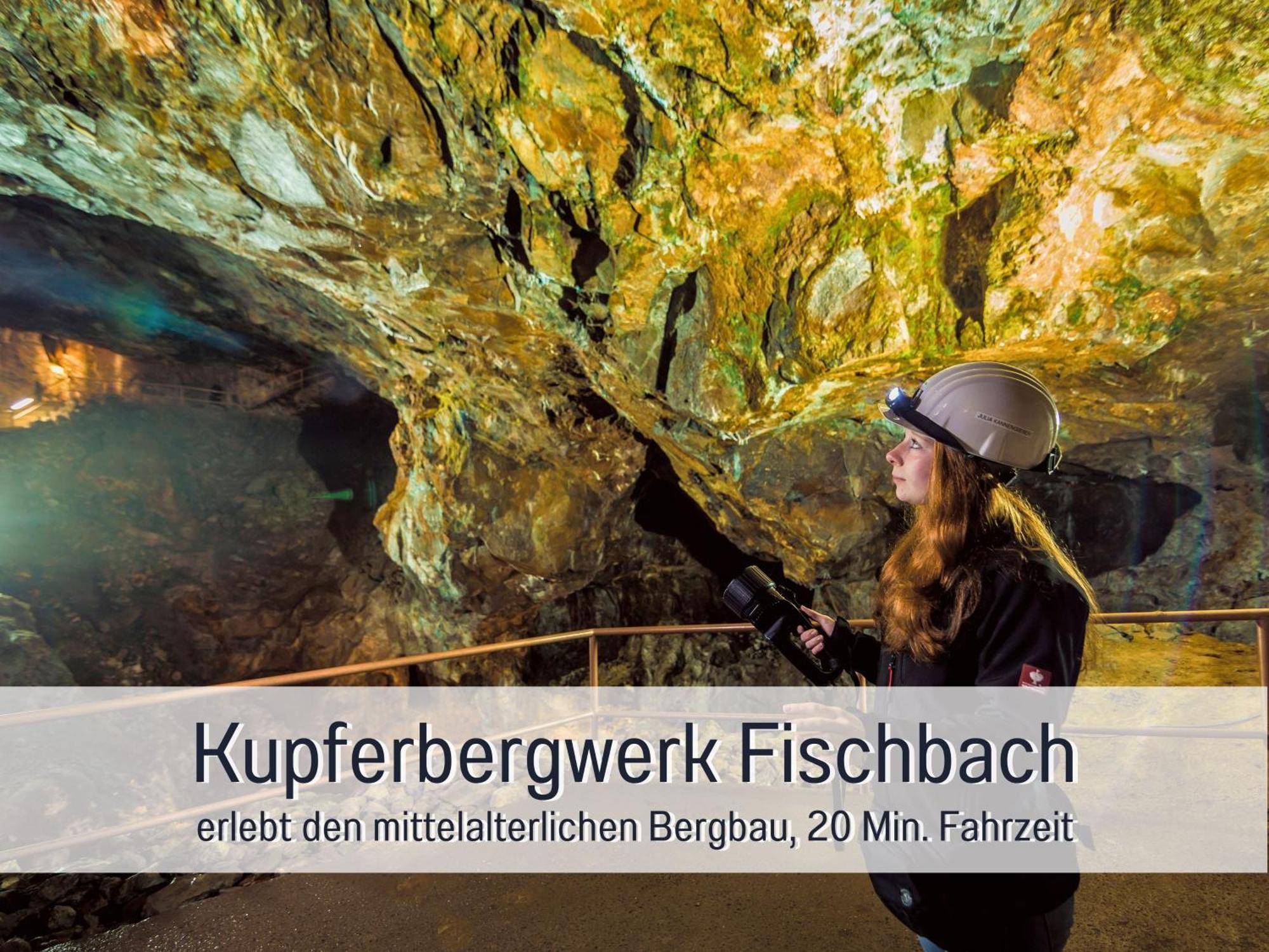 4 Sterne Ferienhaus "Zum Weiher" Allenbach Exteriér fotografie