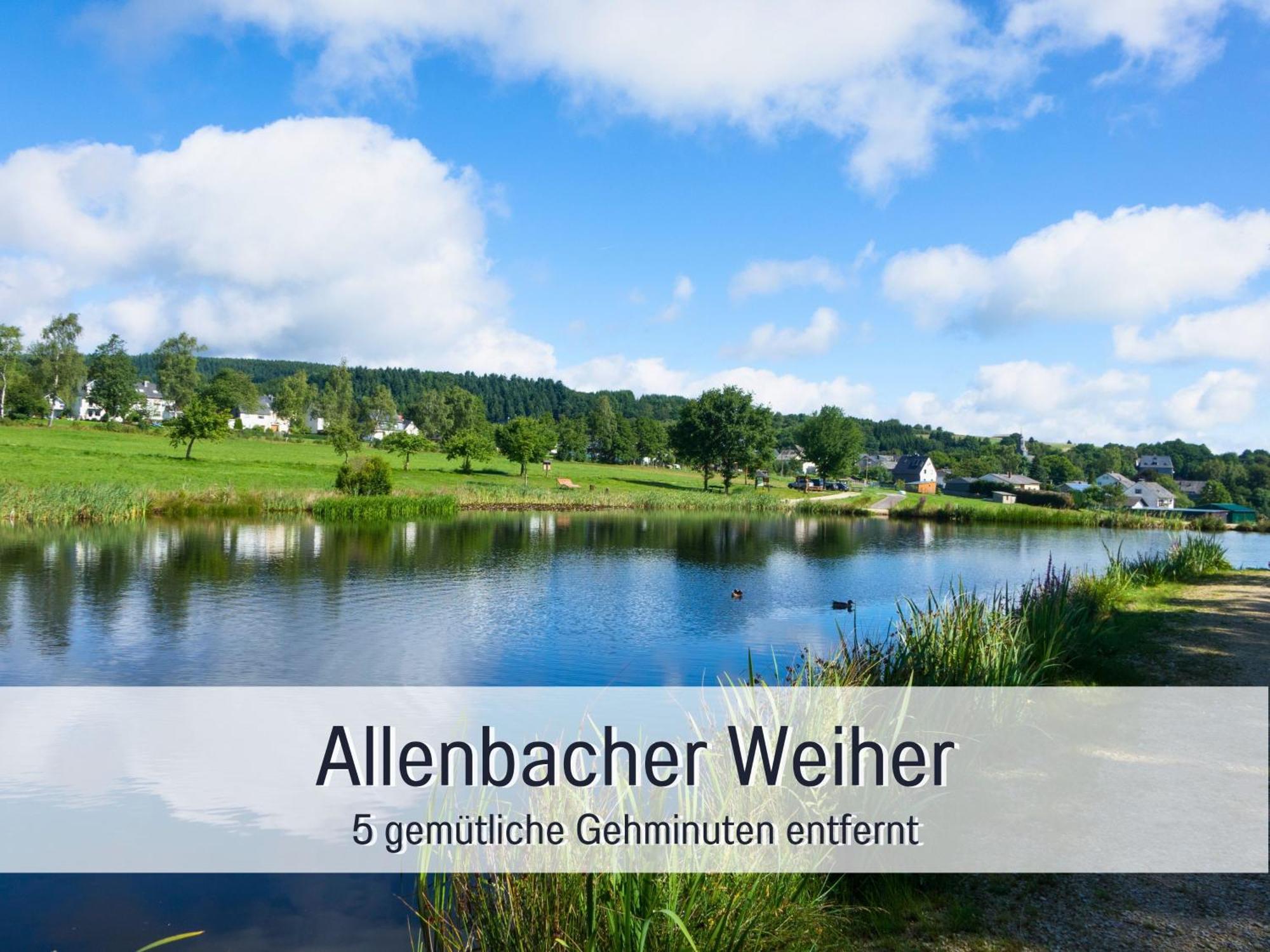 4 Sterne Ferienhaus "Zum Weiher" Allenbach Exteriér fotografie